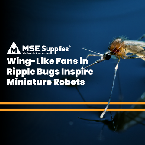 Wing-Like Fans in Ripple Bugs Inspire Miniature Robots