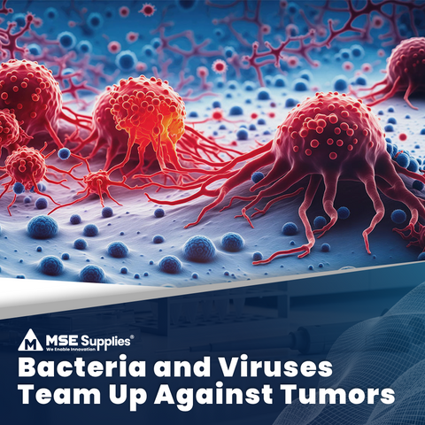 Bacteria and Viruses Team Up Against Tumors
