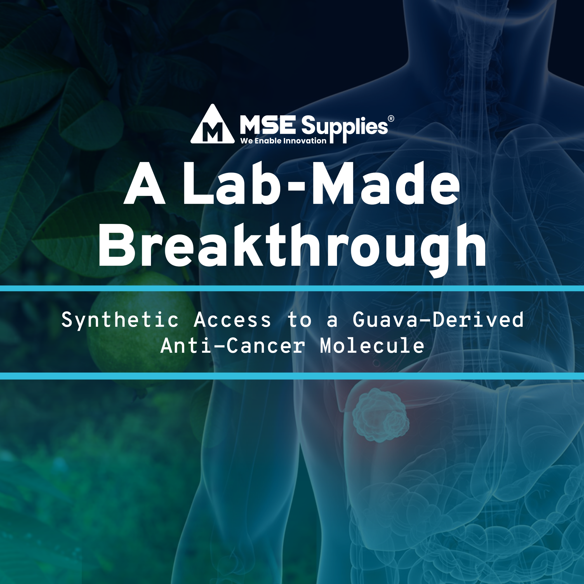 A Lab-Made Breakthrough: Synthetic Access to a Guava-Derived Anti-Cancer Molecule