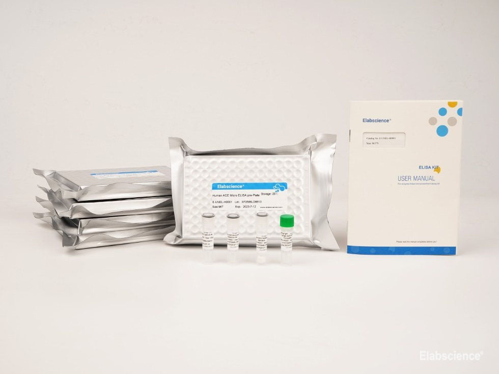Uncoated Human HCG(Chorionic Gonadotropin) ELISA Kit – MSE Supplies