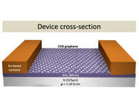Graphene Field-Effect Transistors (GFETs) for Sensing Applications - MSE Supplies LLC