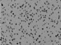 MSE PRO Platinum (Pt) Nanoparticles Water Dispersion, 3-5nm, 0.2mg/mL - MSE Supplies LLC