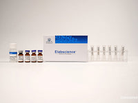 Chromogenic Biotin Labeling Kit (10 KD Filtration tube) - MSE Supplies LLC