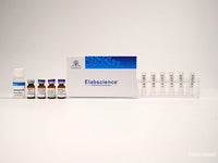 Elab Fluor® 594 Labeling Kit (10 KD Filtration Tube)