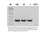 Accuris One-Step RT-PCR Kit - MSE Supplies LLC