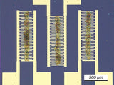 Graphene Oxide Field-Effect Transistors (GOFETs) for Sensing Applications - MSE Supplies LLC