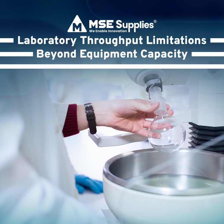 Laboratory Throughput Limitations Beyond Equipment Capacity