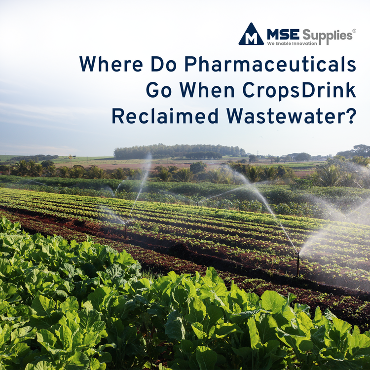 Where Do Pharmaceuticals Go When Crops Drink Reclaimed Wastewater?