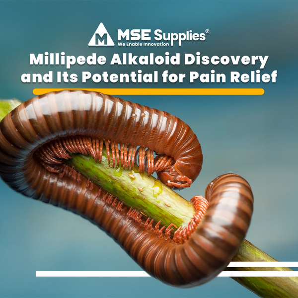 Millipede Alkaloid Discovery and Its Potential for Pain Relief