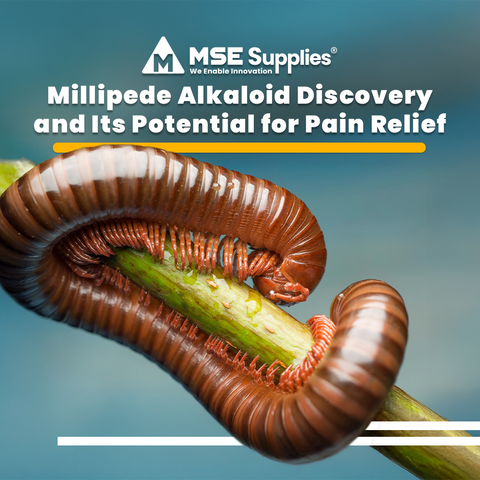 Millipede Alkaloid Discovery and Its Potential for Pain Relief