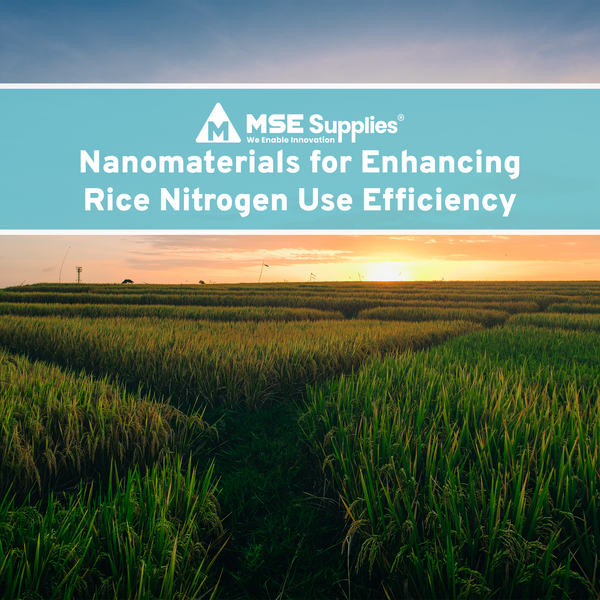 Nanomaterials for Enhancing Rice Nitrogen Use Efficiency
