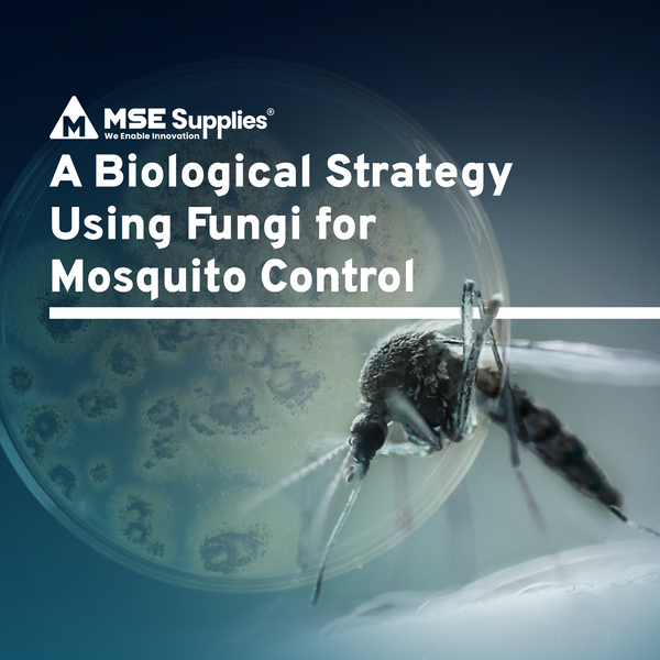 A Biological Strategy Using Fungi for Mosquito Control