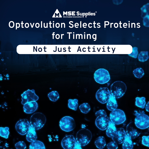 Optovolution Selects Proteins for Timing, Not Just Activity