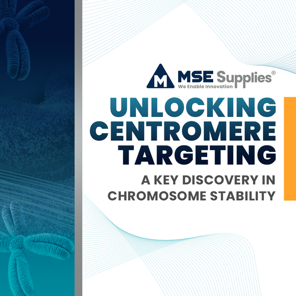 Unlocking Centromere Targeting: A Key Discovery in Chromosome Stability