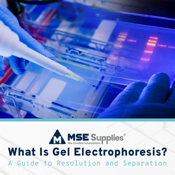 What Is Gel Electrophoresis? A Guide to Resolution and Separation