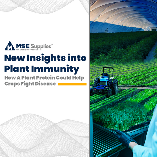 New Insights into Plant Immunity: How A Plant Protein Could Help Crops Fight Disease
