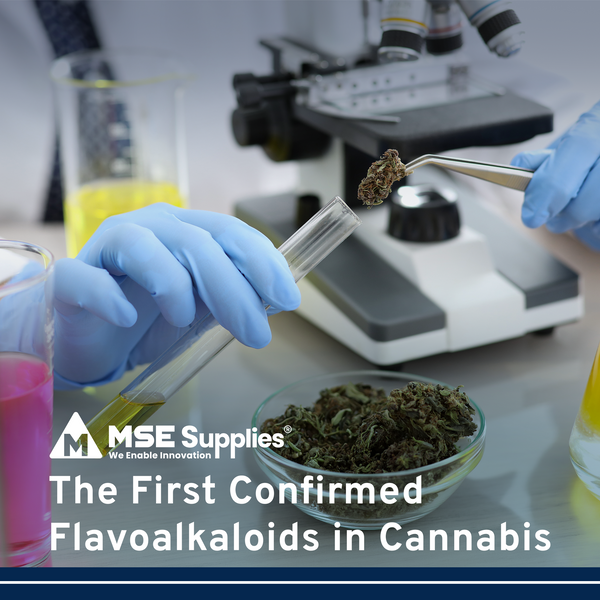 The First Confirmed Flavoalkaloids in Cannabis