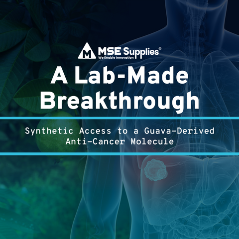 A Lab-Made Breakthrough: Synthetic Access to a Guava-Derived Anti-Cancer Molecule