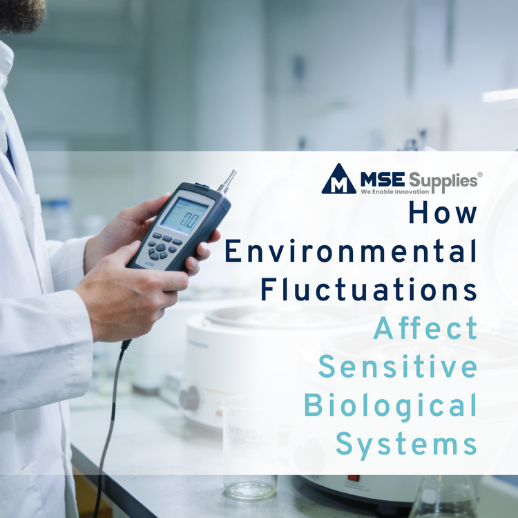 How Environmental Fluctuations Affect Sensitive Biological Systems