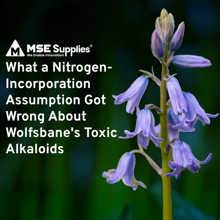 What a Nitrogen-Incorporation Assumption Got Wrong About Wolfsbane's Toxic Alkaloids