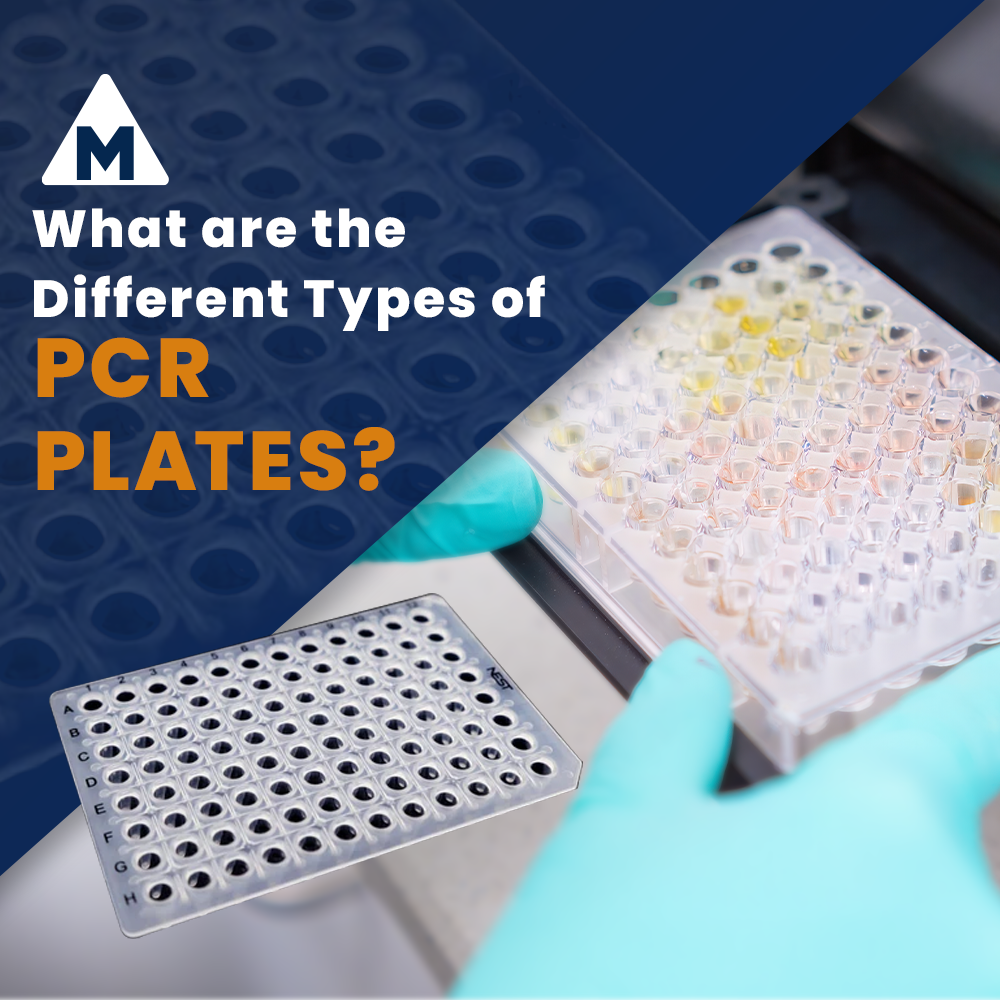 What Are the Different Types of PCR Plates? – MSE Supplies