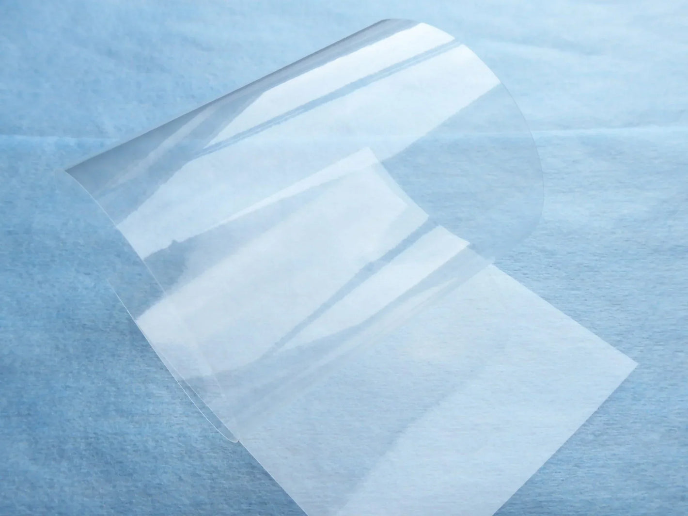 Proton Exchange Membrane