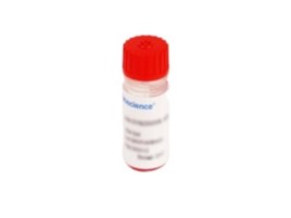 Elabscience IP Agarose Magnetic Beads