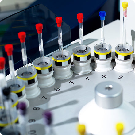 Nuclear Magnetic Resonance (NMR)