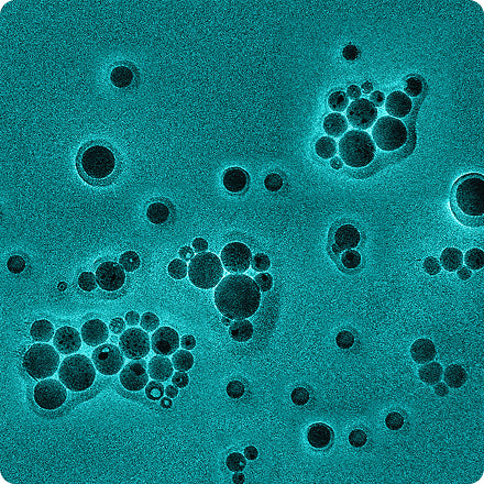 Particle Size Analysis