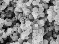 MSE PRO Tantalum (Ta) Powder