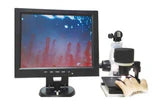 Microcirculation Microscopes