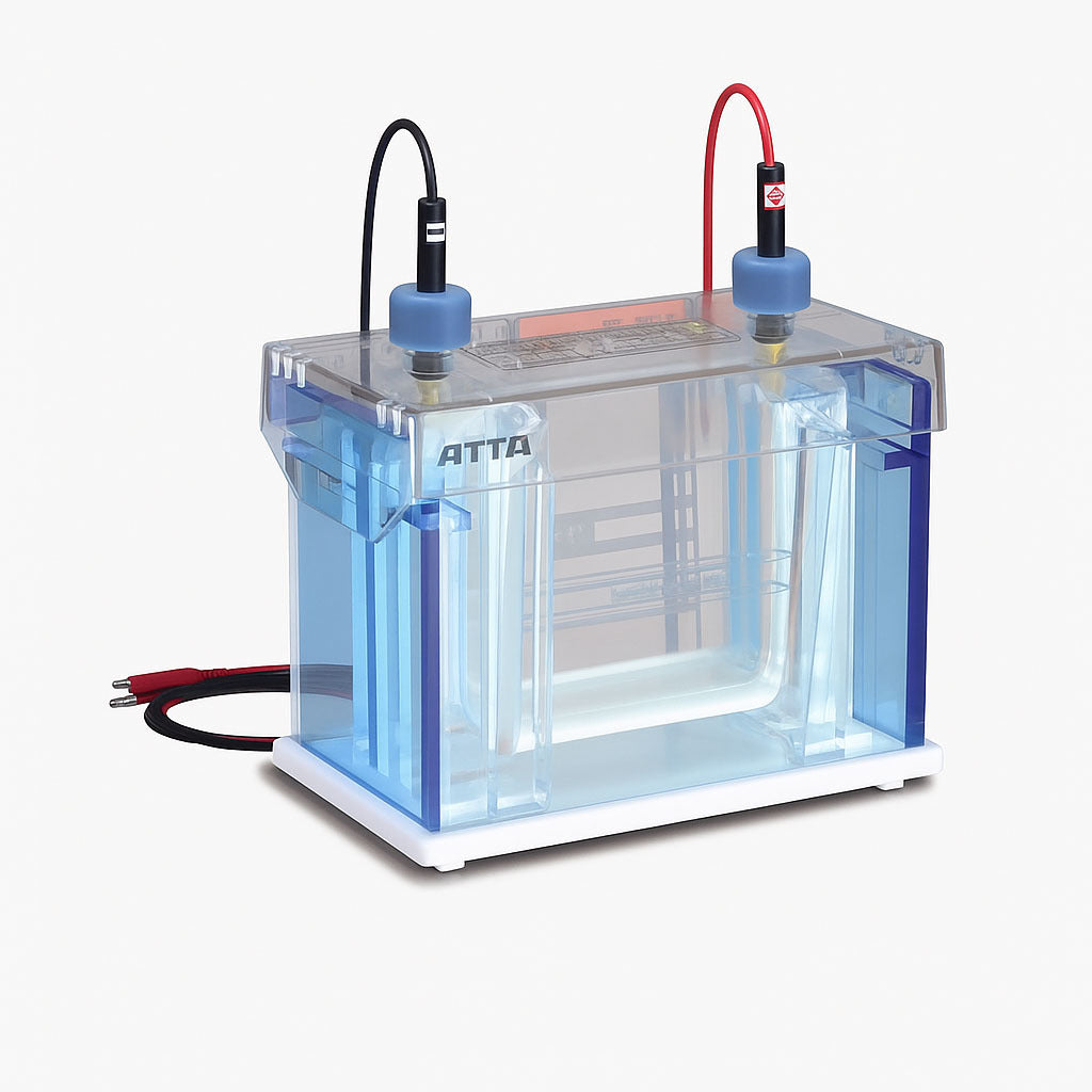 Gel Electrophoresis