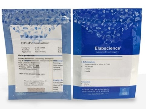 Elabscience Pathology Antibodies