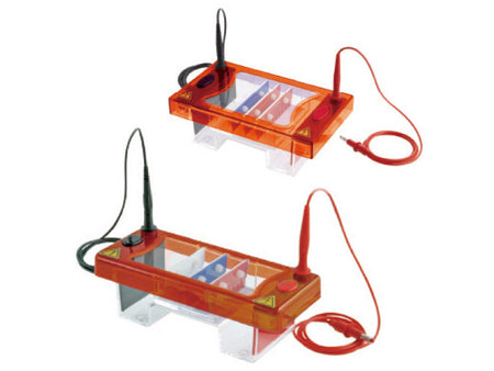 Biologix Electrophoresis Tank Gel, 1 Piece/Pack, Gel Electrophoresis, Biologix, MSE Supplies