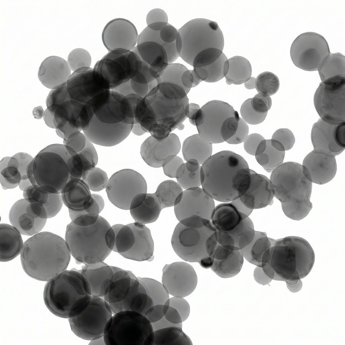 MSE PRO 30 nm High Purity 99.99% Aluminum Oxide Nanoparticles AI image