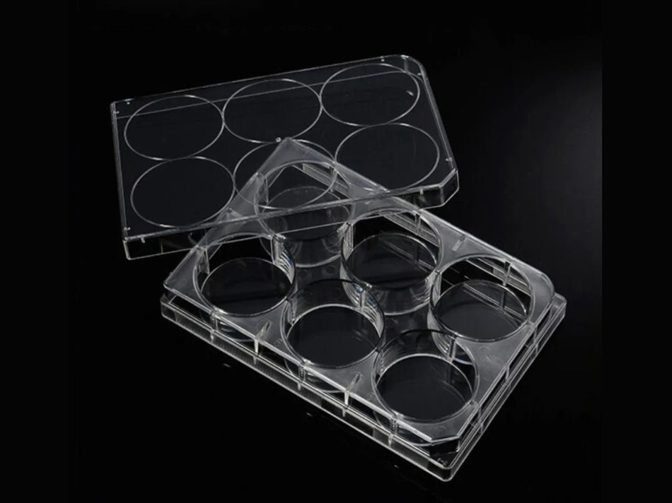 Biologix Cell Culture Plates-6/12/24/48/96-Well, 1/Pack, 50/Case - MSE Supplies LLC