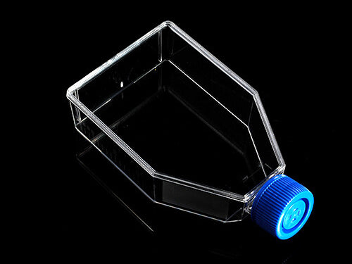 Biologix Cell Culture Flasks 75c㎡ with Filter / Plug Caps, 250mL, 5/Pack, 100/Case - MSE Supplies LLC