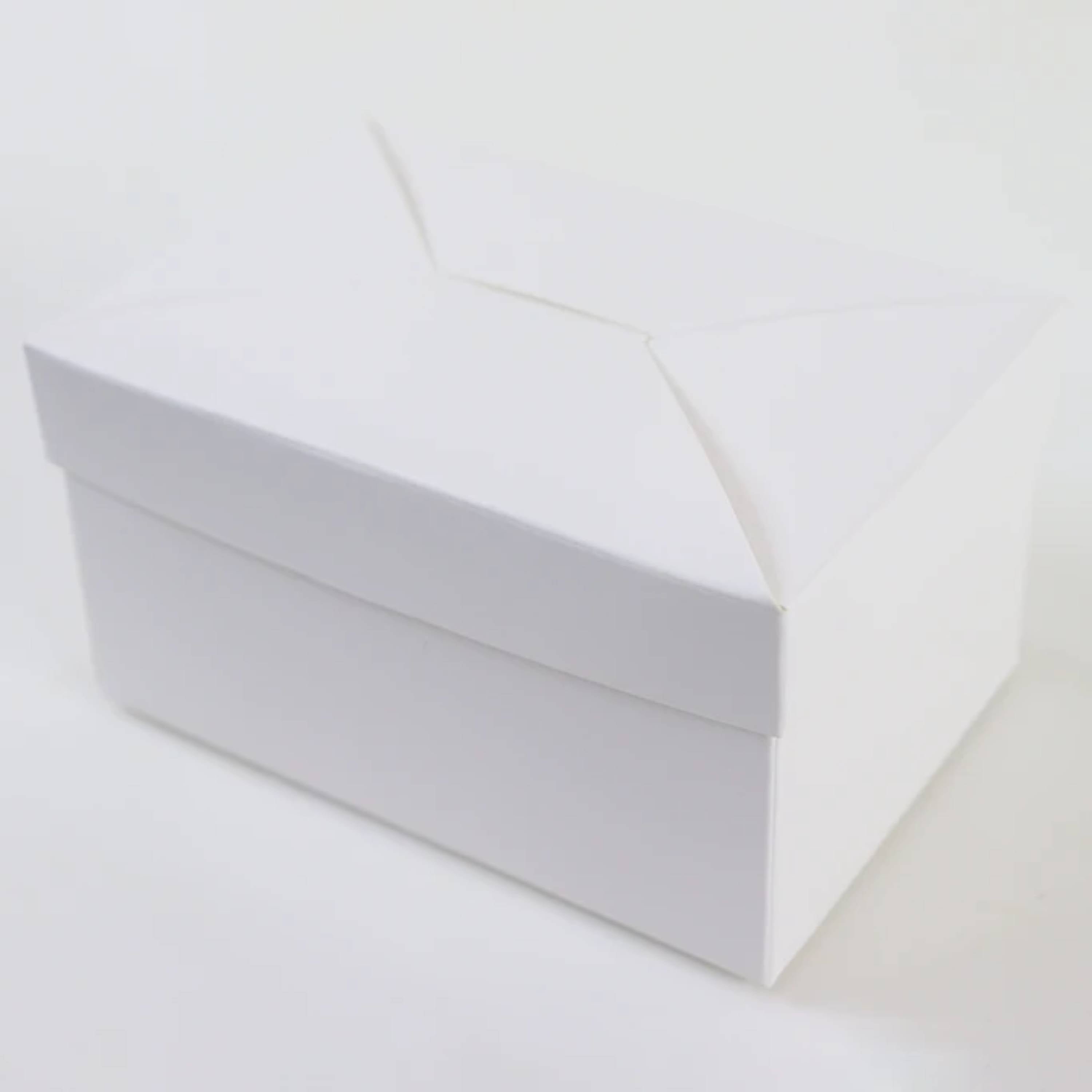 AHN myTip® EL³ Eco-Rack Tips Sterile (10 x 10 x 96 Tips)