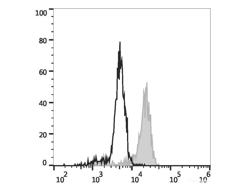 Elab Fluor® 488 Anti-Human CD68 Antibody[Y1/82A], Biomarkers, Elabscience Biotechnology, MSE Supplies
