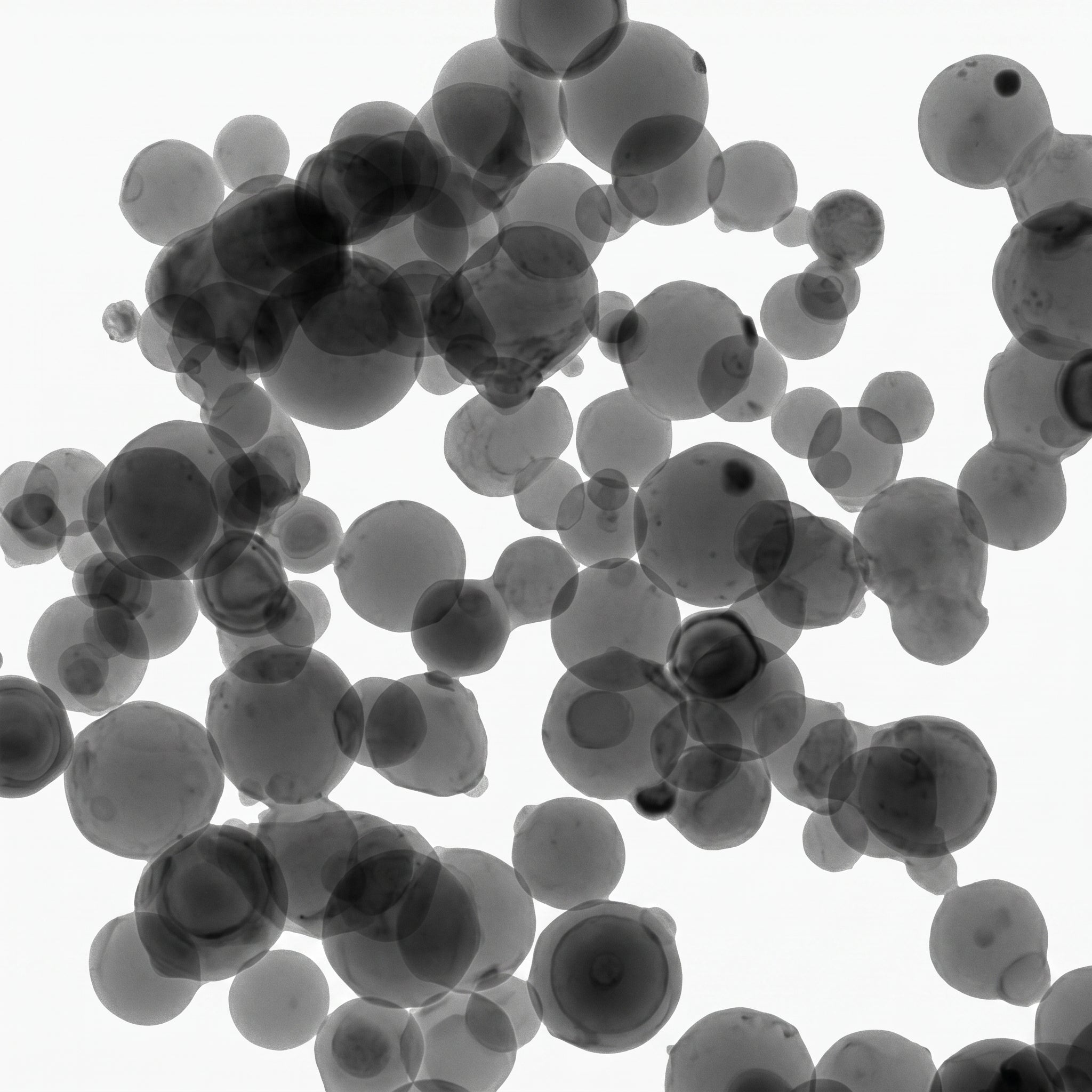 MSE PRO 100 nm High Purity 99.99% Alpha Aluminum Oxide Nanoparticles AI image
