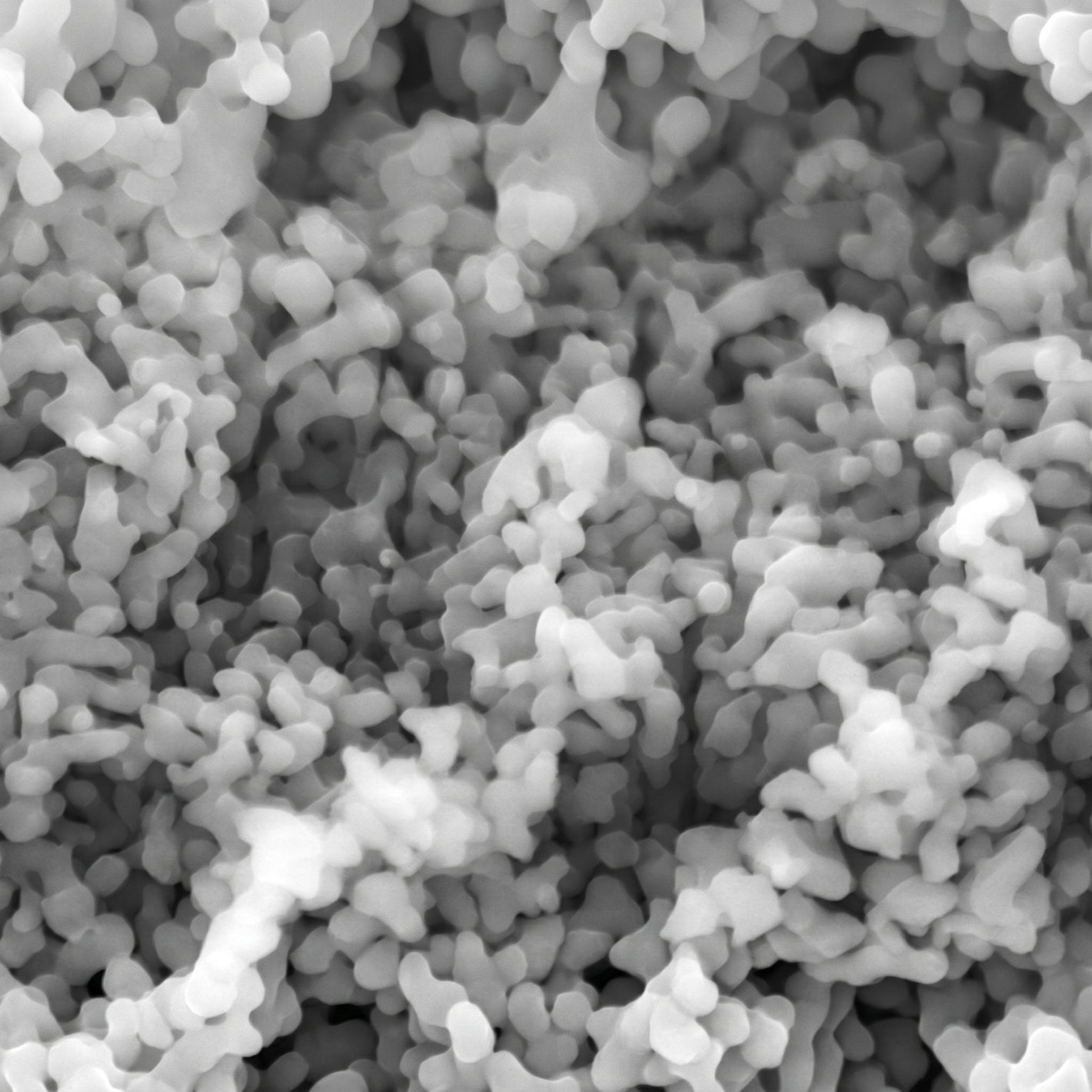 MSE PRO 500 nm High Purity 99.99% Alpha Aluminum Oxide Nanoparticles AI image