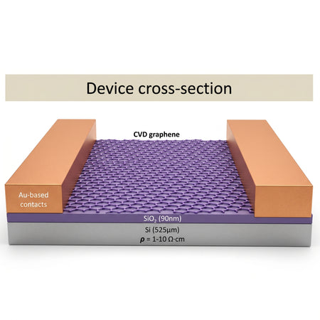 MSE PRO Graphene Field-Effect Transistors (GFETs) for Sensing Applications AI image