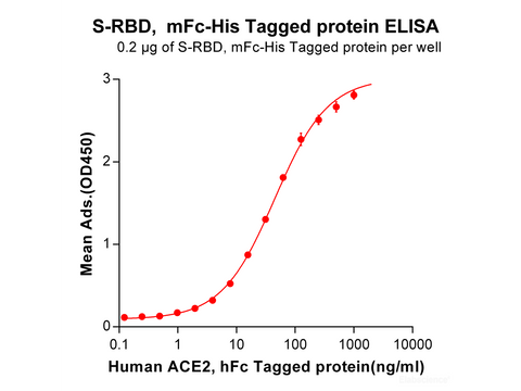 Recombinant SARS-CoV-2 (2019-nCoV) S protein RBD (C-mFc-6His tag)(Active)