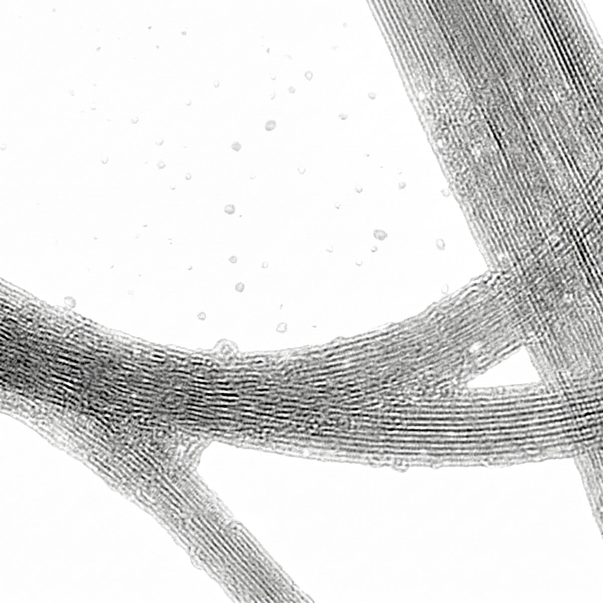 MSE PRO High Purity (>95 wt%) Single-walled Carbon Nanotubes (Moving Catalyst Method), 1g AI image