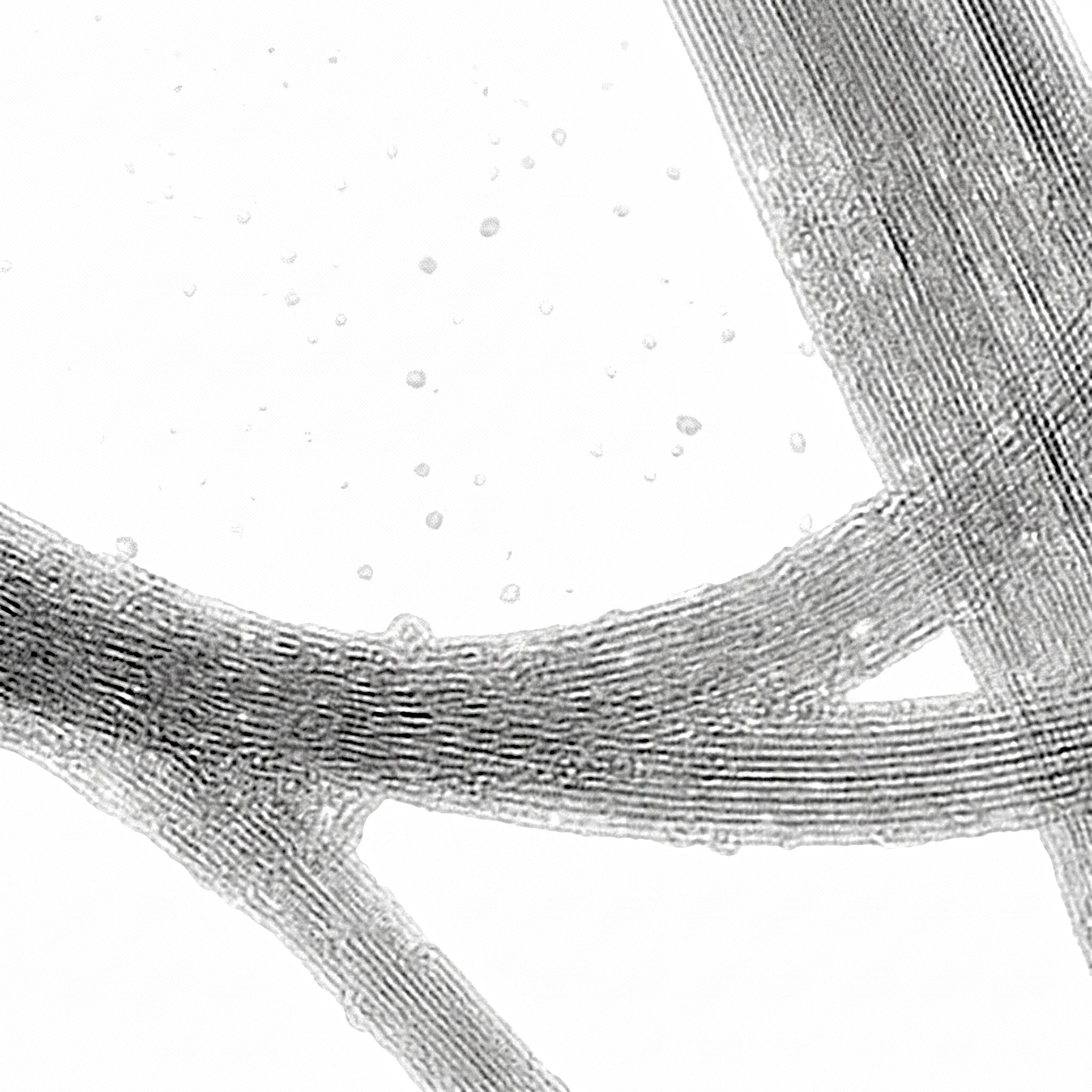 MSE PRO High Purity (>95 wt%) Single-walled Carbon Nanotubes (Moving Catalyst Method), 1g AI image