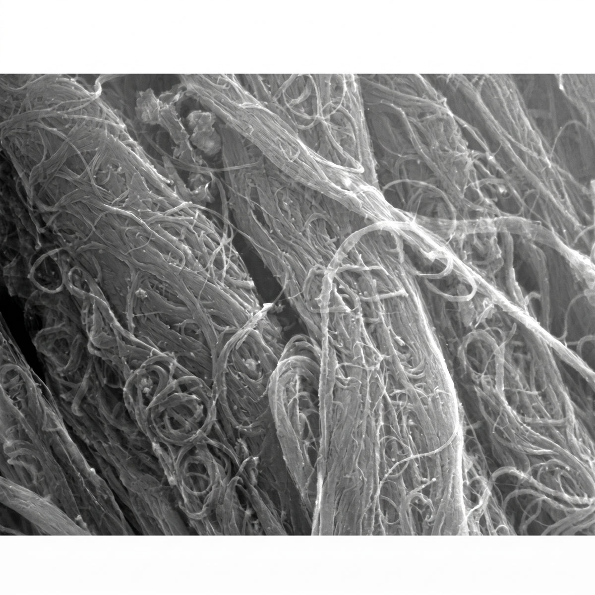 MSE PRO High Purity (>95 wt%) Single-walled Carbon Nanotubes (Floating Catalyst Method), 1g AI image
