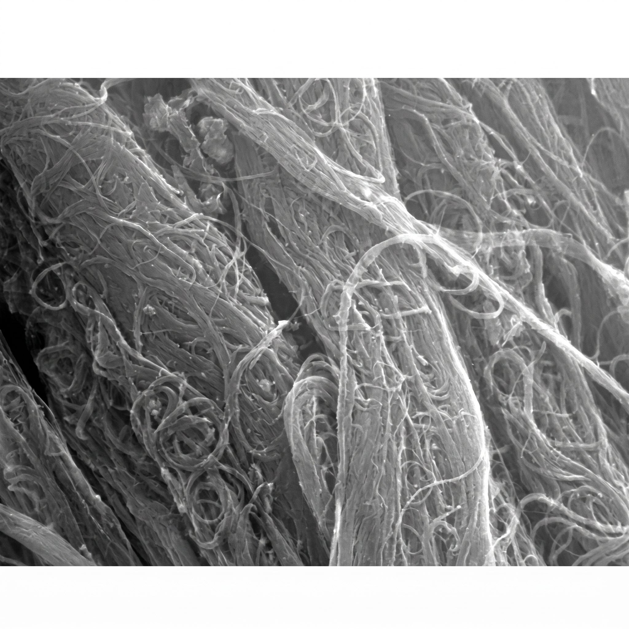 MSE PRO High Purity (>95 wt%) Single-walled Carbon Nanotubes (Floating Catalyst Method), 1g AI image