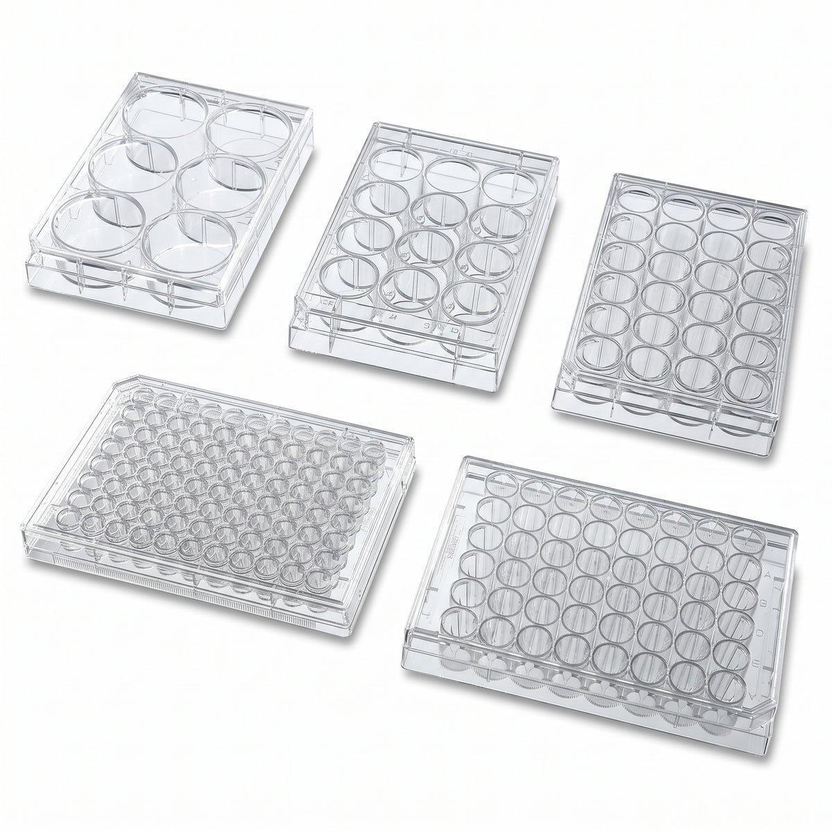 NEST Cell Culture Plates AI image