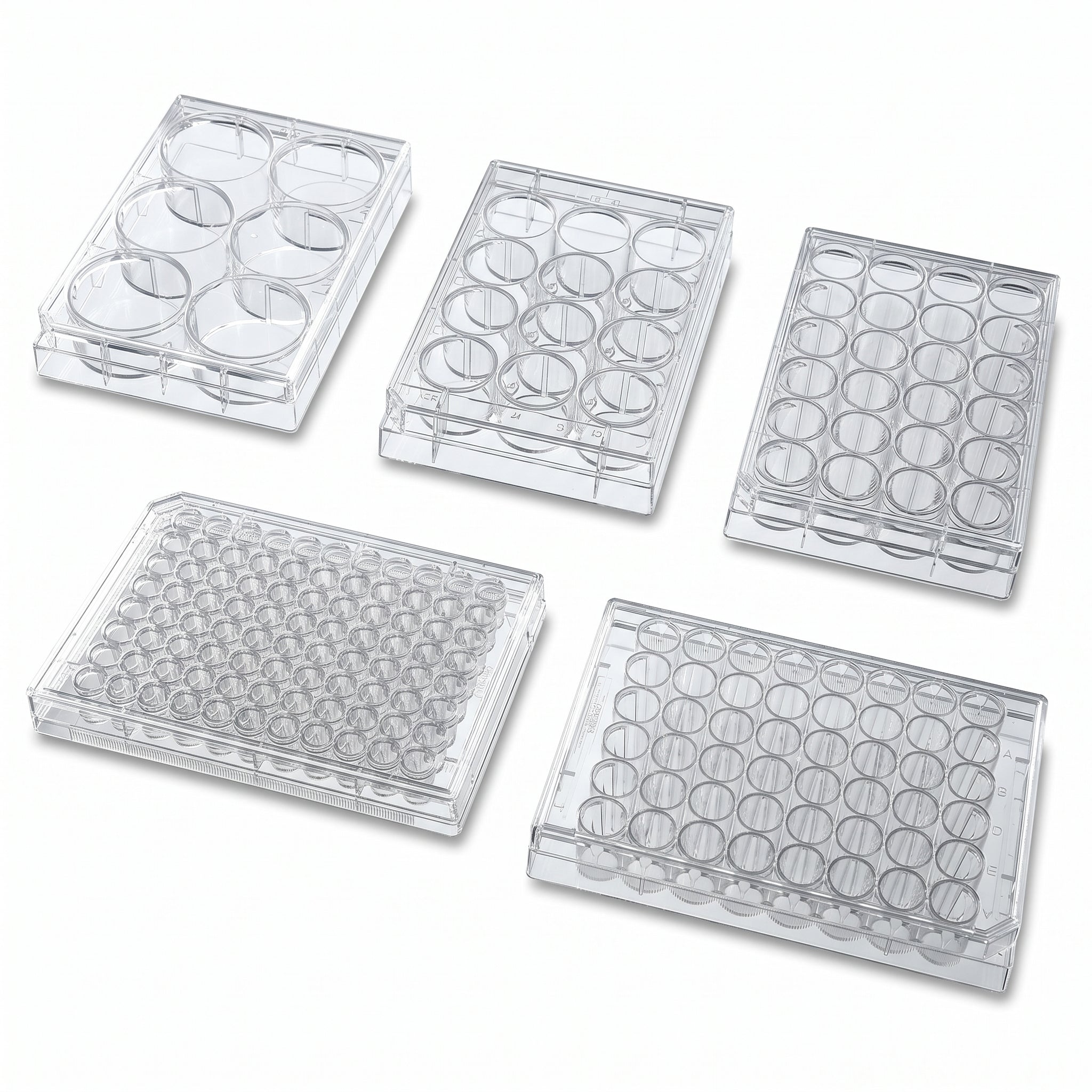 NEST Cell Culture Plates AI image