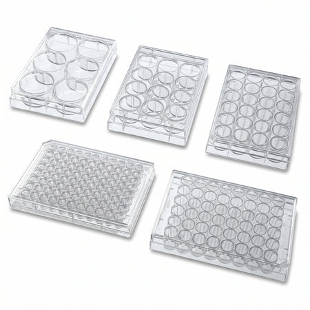 NEST Cell Culture Plates AI image